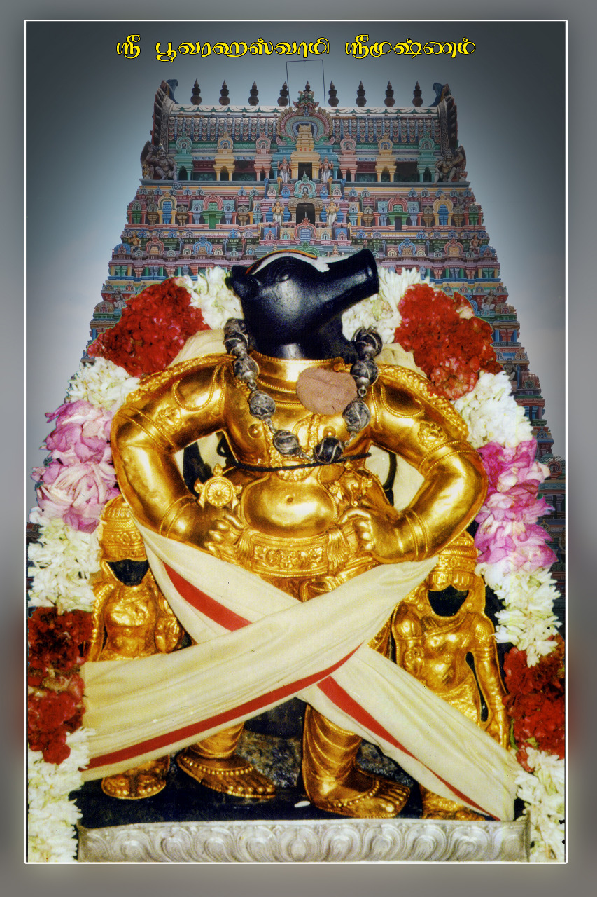 Sri Bhuvragaperumal , Srimushnam 