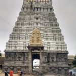 Sri Varadharaja Perumal Temple-Kanchipuram