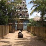 Sri Palvanna Nathar Temple-Sivapuri (Thirukhazipalai)