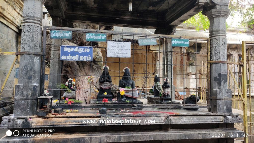 Sri Vriddhagirishwarar Temple- Vriddhachalam